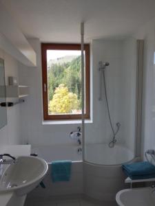 y baño con ducha y lavamanos. en Widderstein Apartments, en Schröcken