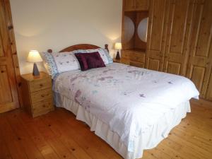 1 dormitorio con 1 cama y 2 lámparas en el suelo de madera en Boherbue Holiday Home, en Boherboy