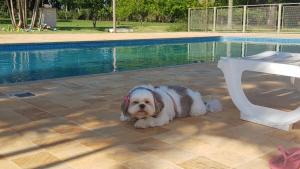 アバレにあるHotel Kaeruのギャラリーの写真