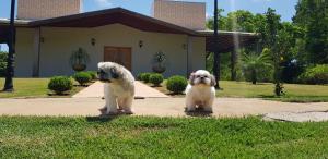 アバレにあるHotel Kaeruのギャラリーの写真