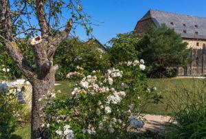Zahrada ubytování Johanniterhotel