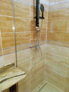 eine Dusche mit Duschkopf im Bad in der Unterkunft Valentina GOLD apartment in Plowdiw
