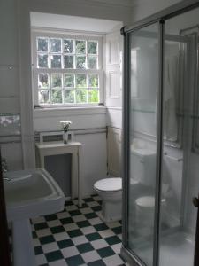 ein Bad mit einem WC, einem Waschbecken und einem Fenster in der Unterkunft Casa das Calhetas - Turismo de Habitação in Calhetas