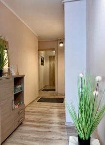 Fotografia z galérie ubytovania Apartamenty W Brzozowym Gaju v destinácii Kudowa-Zdrój