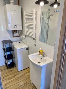 Kúpeľňa v ubytovaní Apartamenty W Brzozowym Gaju