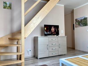 Televízia a/alebo spoločenská miestnosť v ubytovaní Apartamenty W Brzozowym Gaju