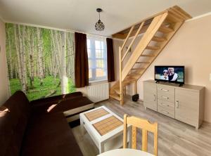 Televízia a/alebo spoločenská miestnosť v ubytovaní Apartamenty W Brzozowym Gaju