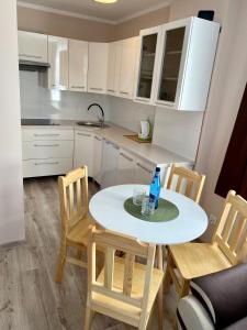 Kuchyňa alebo kuchynka v ubytovaní Apartamenty W Brzozowym Gaju