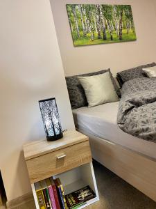 Posteľ alebo postele v izbe v ubytovaní Apartamenty W Brzozowym Gaju