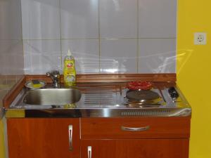 Dapur atau dapur kecil di Apartments Piran