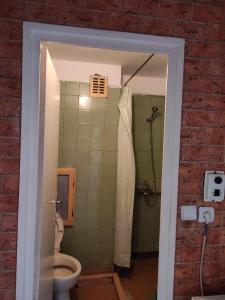 een badkamer met een douche en een toilet in een kamer bij Apartment next to the center NO TV NO WI FI in Pazardzhik