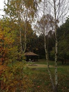 a gazebo in the middle of a field with trees at Leśny Dwór Uhowo in Uhowo