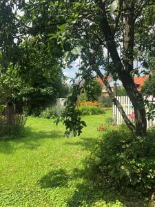 Fotografie z fotogalerie ubytování Stylový historický apartmán se zahradou v srdci Moravy poblíž Kroměříže a Olomouce v destinaci Kojetín