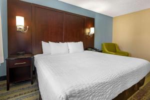 
a hotel room with a bed, chair, and nightstand at Clarion Hotel Lexington in Lexington
