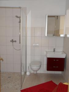 a bathroom with a shower and a toilet and a sink at Am Brunnen Merkendorf in Zeulenroda