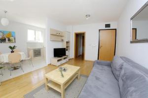 TV a/nebo společenská místnost v ubytování Lila Apartments