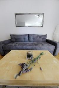 Posezení v ubytování Lila Apartments