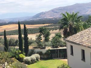 una vista desde el techo de una casa con palmeras en Finca El Almendrillo, en Iznájar