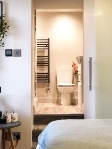 a bathroom with a toilet in a room at The Hive at Poppi-Red in Hawkshead