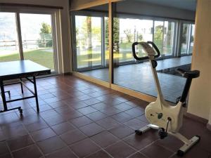 Fitness centrum a/nebo fitness zařízení v ubytování Erholsame Ferien im Tessin
