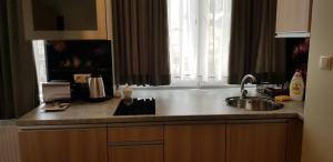 a kitchen counter with a sink and a window at Metropolis Apartamenty Centrum in Kalisz