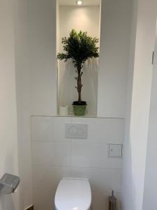 La salle de bains est pourvue de toilettes et d'une plante en pot. dans l'établissement Berliner Hof, à Dallgow