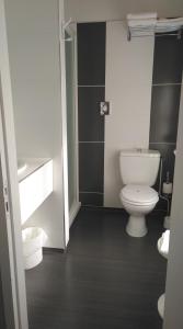 CoutrasにあるHotel Henri IVのバスルーム(白いトイレ付)が備わります。