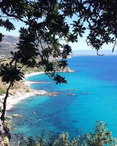 vistas a una playa con agua azul y árboles en Hotel Grotticelle, en Capo Vaticano