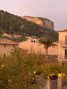 a city with a palm tree in front of a mountain at Vila Alaró TI in Alaró