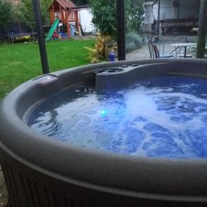 een grote hot tub in een tuin met een tafel bij Aliz Apartman in Nyíregyháza