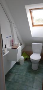 a bathroom with a white toilet in a attic at La maison de Mathilde in Saint-Jean-de-la-Motte +9 photos