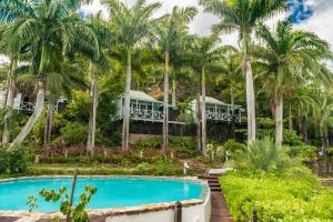 um resort com piscina e palmeiras em COCOS Hotel Antigua - All Inclusive - Adults Only em Bolans