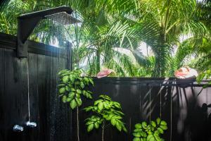Garður fyrir utan COCOS Hotel Antigua - All Inclusive - Adults Only
