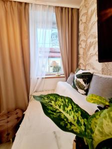 sypialnia z łóżkiem z oknem w obiekcie Apartamenty przy Ratuszu w mieście Bolesławiec