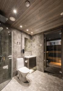 een badkamer met een toilet, een douche en een wastafel bij RukaValley Unique47 Ski In - Ski Out in Ruka