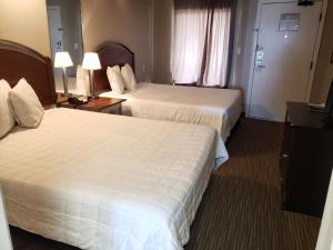 Oceanfront Double Queen 1 BR Suite Caravelle 1137