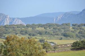 Paisaje cerca de este apartamento