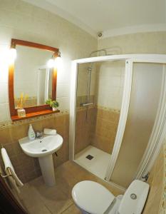 a bathroom with a shower and a toilet and a sink at Casa El Cercado in Santa Cruz de Tenerife