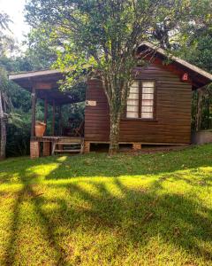 uma pequena cabana de madeira com uma árvore no quintal em Pousada Aguaraguazu em Tibagi