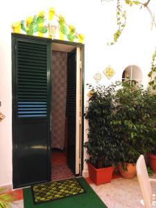 una puerta negra que conduce a una habitación con plantas en Casa Sicana, en Palermo