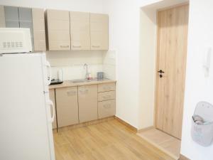 Kuchyňa alebo kuchynka v ubytovaní Holiday Apartmanház