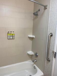 a bathroom with a shower and a tub and a sink at Holiday Inn Express & Suites Columbia-I-26 @ Harbison Blvd by IHG in Columbia +40 photos