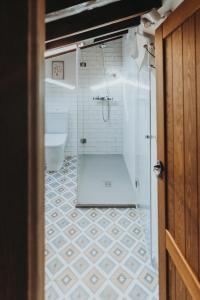 a bathroom with a shower and a toilet at Posada del tiempo in Villavieja del Lozoya +24 photos