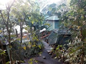 Photo de la galerie de l'établissement Kasaguadua - RESERVA NATURAL, à Salento 47 autres photos