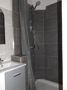 La salle de bains est pourvue d'une douche et d'un lavabo. dans l'établissement Hôtel Le Carnon, à Carnon-Plage