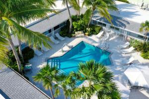 an overhead view of a swimming pool with palm trees at Orchid Key Inn - Adults Only in Key West