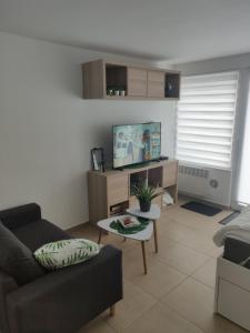 un salon avec un canapé et une table dans l'établissement Terrasses de Malmedy Studio 331-BOLY, à Malmedy