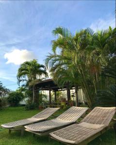 a row of lounge chairs in the grass with palm trees at イリワ -stay&coffee iriwa- in Ishigaki Island