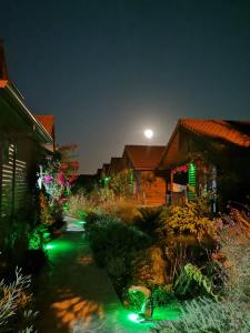 een huis met groene lichten in een tuin 's nachts bij Leontopolis Apart Otel in Cıralı