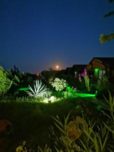 a garden at night with green lights at Leontopolis Apart Otel in Cıralı